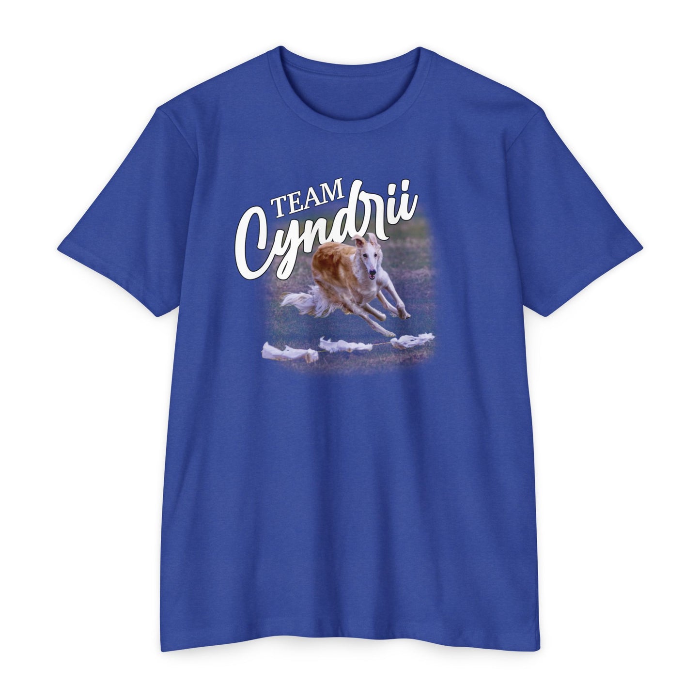 Team Cyndrii - Unisex CVC 60/40 Jersey T-shirt