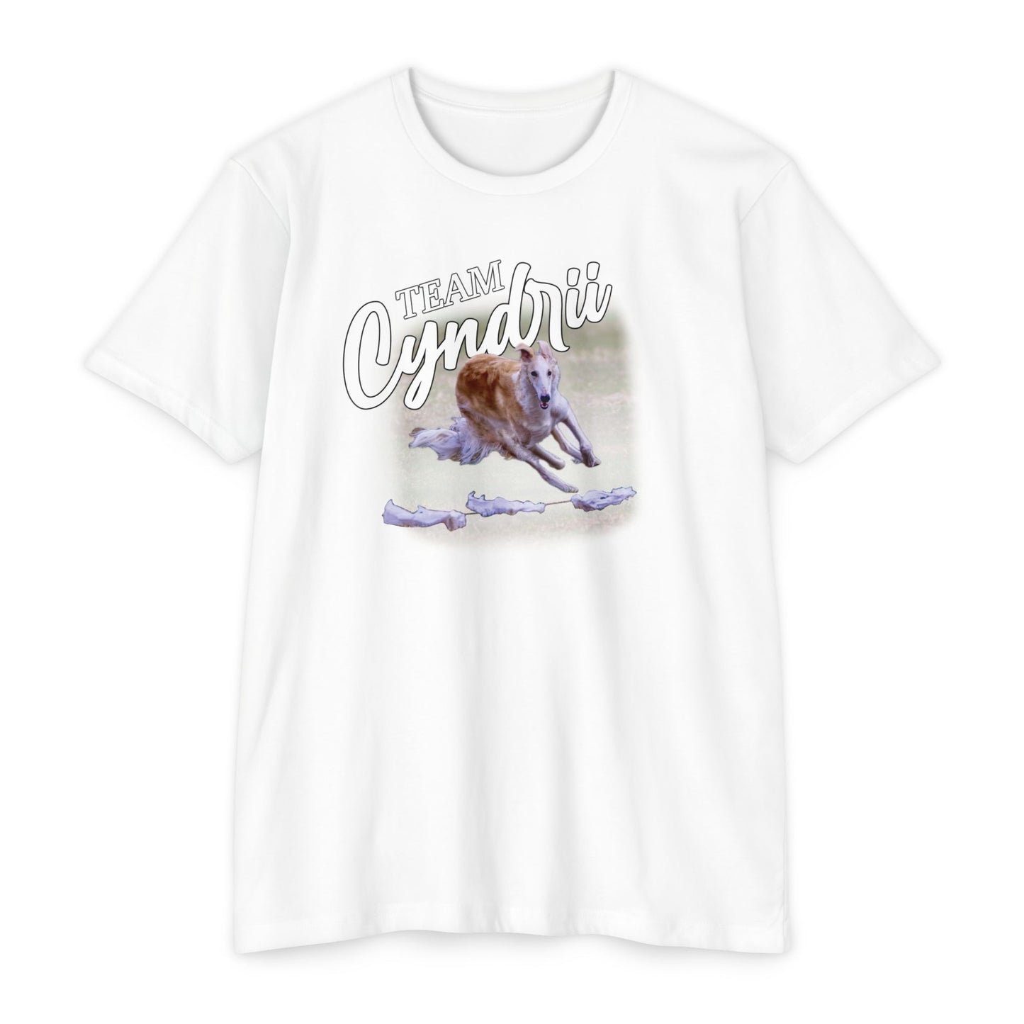 Team Cyndrii - Unisex CVC 60/40 Jersey T-shirt