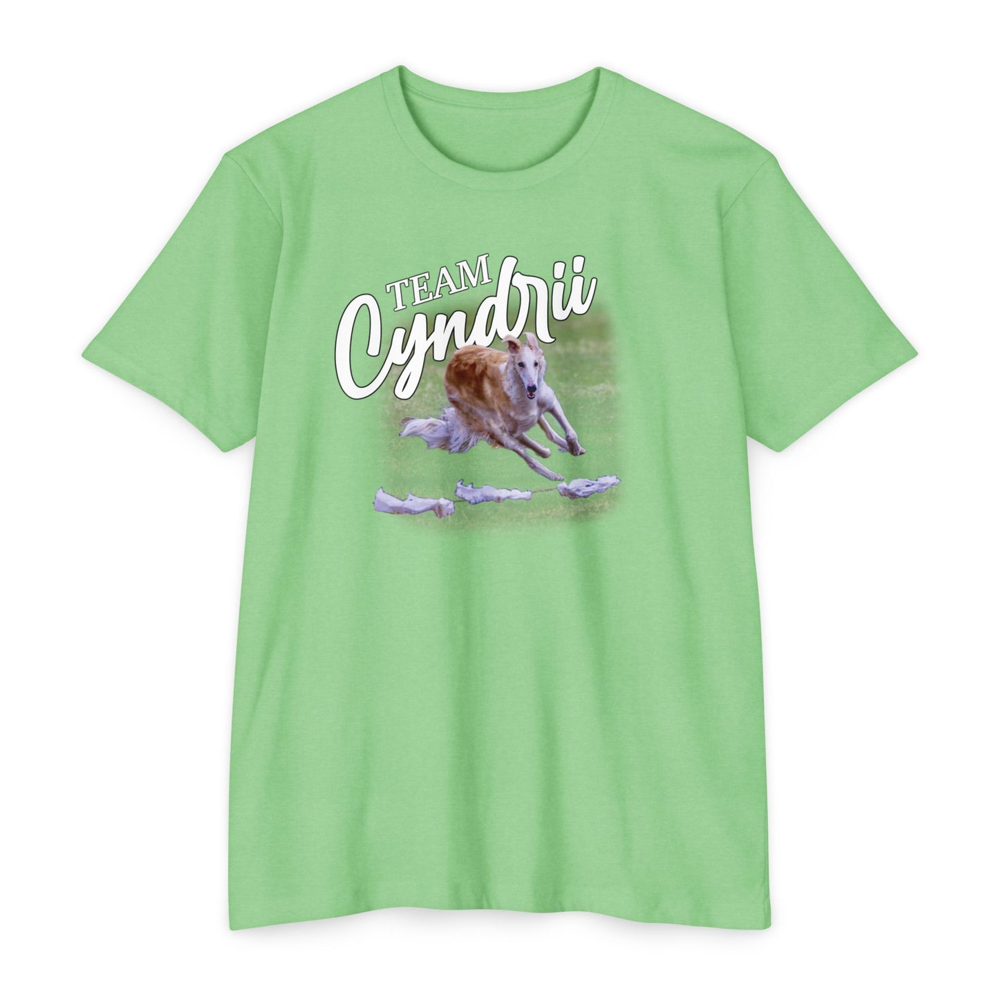 Team Cyndrii - Unisex CVC 60/40 Jersey T-shirt